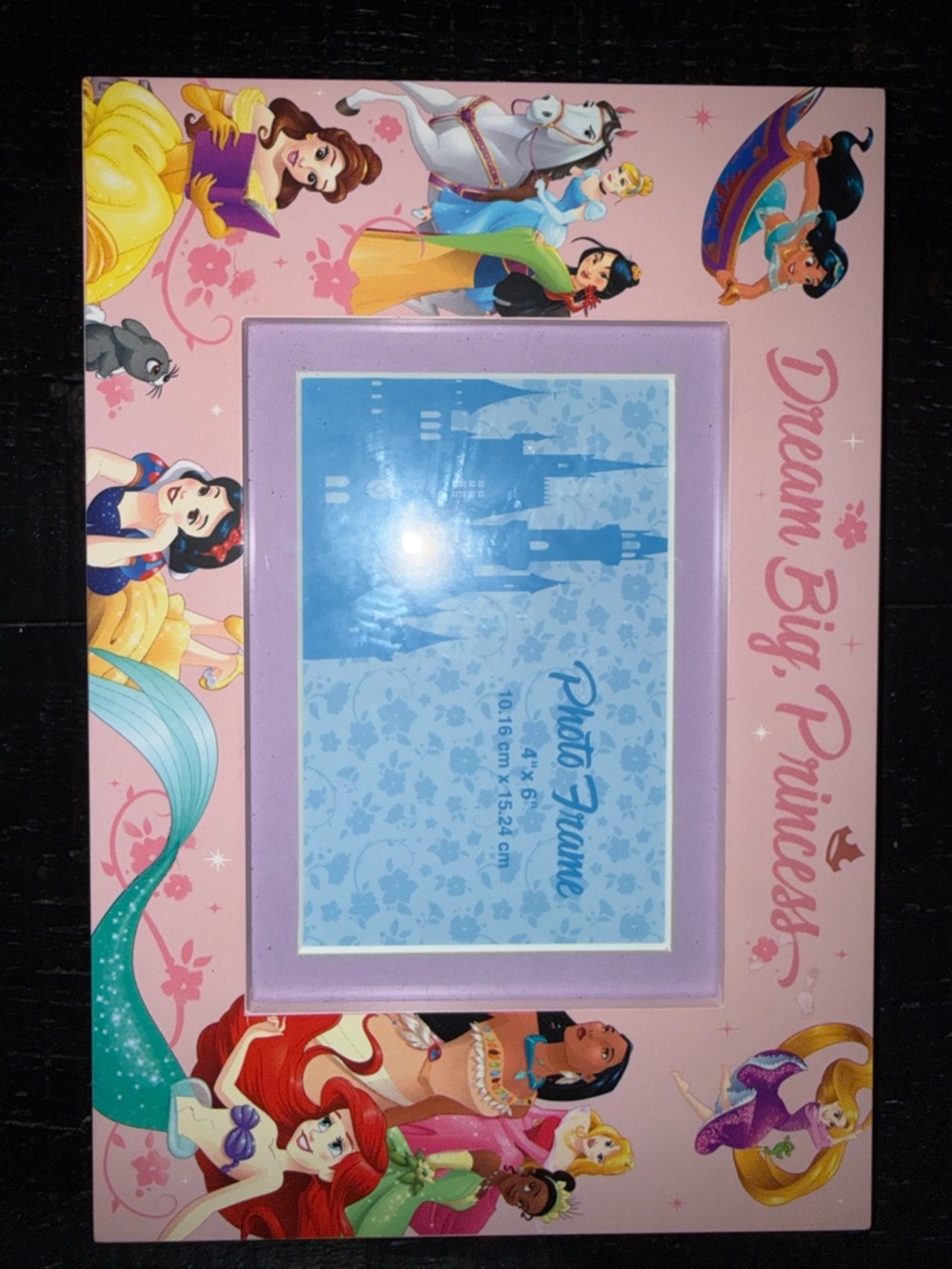 Disney Princess Photo Frame 4x6 Dream Big Princesses Ariel Belle Cinderella